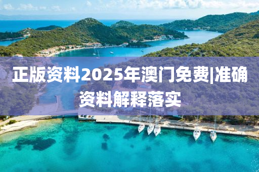 正版資料2025年澳門免費(fèi)|準(zhǔn)確資料解釋落實(shí)