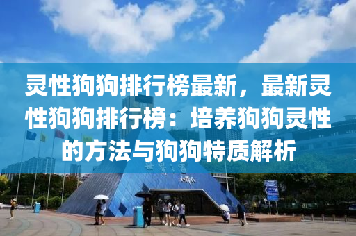 靈性狗狗排行榜最新，最新靈性狗狗排行榜：培養(yǎng)狗狗靈性的方法與狗狗特質(zhì)解析