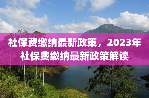 社保費繳納最新政策，2023年社保費繳納最新政策解讀