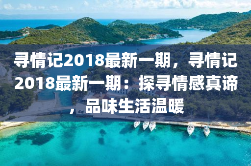 尋情記2018最新一期，尋情記2018最新一期：探尋情感真諦，品味生活溫暖