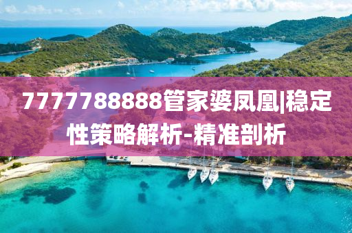 7777788888管家婆鳳凰|穩(wěn)定性策略解析-精準剖析