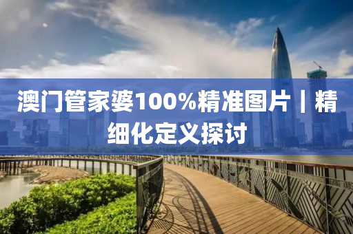 澳門管家婆100%精準圖片｜精細化定義探討