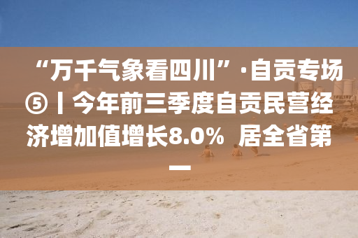 “萬千氣象看四川”·自貢專場⑤丨今年前三季度自貢民營經(jīng)濟增加值增長8.0%  居全省第一