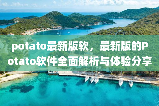 potato最新版軟，最新版的Potato軟件全面解析與體驗分享