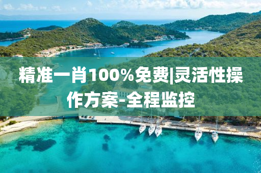 精準一肖100%免費|靈活性操作方案-全程監(jiān)控