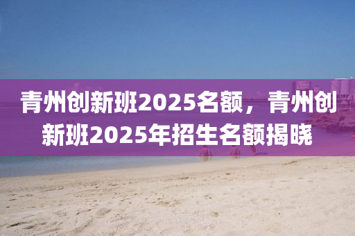 青州創(chuàng)新班2025名額，青州創(chuàng)新班2025年招生名額揭曉