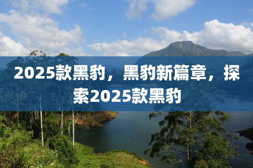 2025款黑豹，黑豹新篇章，探索2025款黑豹