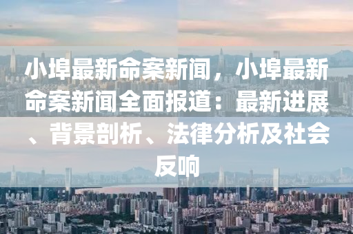 小埠最新命案新聞，小埠最新命案新聞全面報道：最新進(jìn)展、背景剖析、法律分析及社會反響