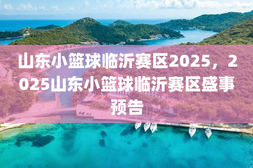 山東小籃球臨沂賽區(qū)2025，2025山東小籃球臨沂賽區(qū)盛事預告