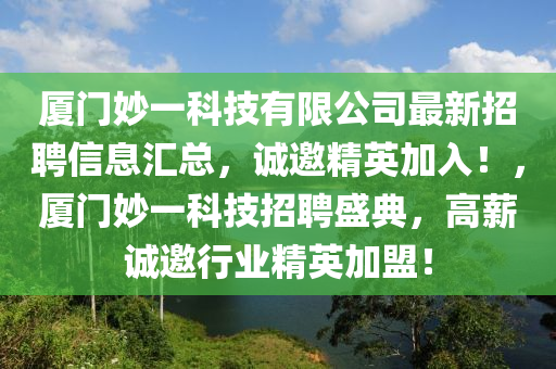 廈門妙一科技有限公司最新招聘信息匯總，誠邀精英加入！，廈門妙一科技招聘盛典，高薪誠邀行業(yè)精英加盟！