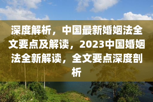 深度解析，中國最新婚姻法全文要點及解讀，2023中國婚姻法全新解讀，全文要點深度剖析