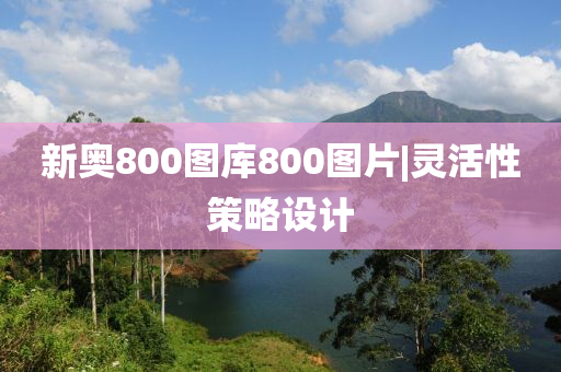 新奧800圖庫800圖片|靈活性策略設計