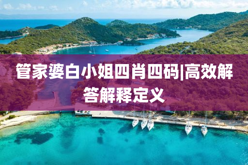 管家婆白小姐四肖四碼|高效解答解釋定義