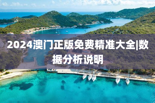 2024澳門正版免費精準大全|數(shù)據(jù)分析說明