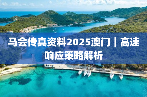 馬會傳真資料2025澳門｜高速響應(yīng)策略解析