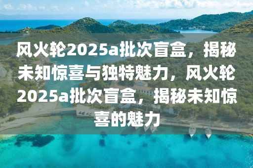 風(fēng)火輪2025a批次盲盒，揭秘未知驚喜與獨(dú)特魅力，風(fēng)火輪2025a批次盲盒，揭秘未知驚喜的魅力