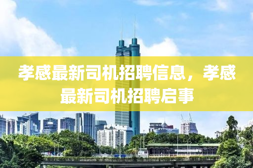 孝感最新司機招聘信息，孝感最新司機招聘啟事