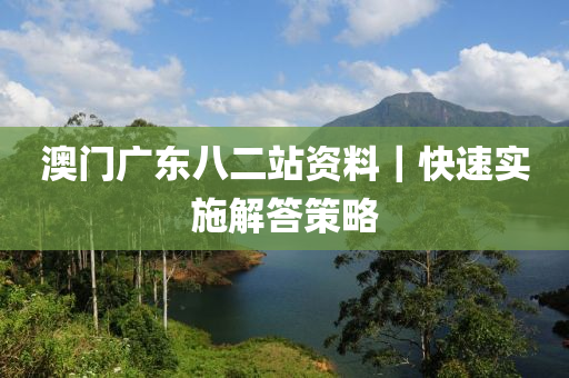 澳門廣東八二站資料｜快速實(shí)施解答策略