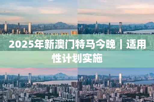 2025年新澳門特馬今晚｜適用性計劃實施