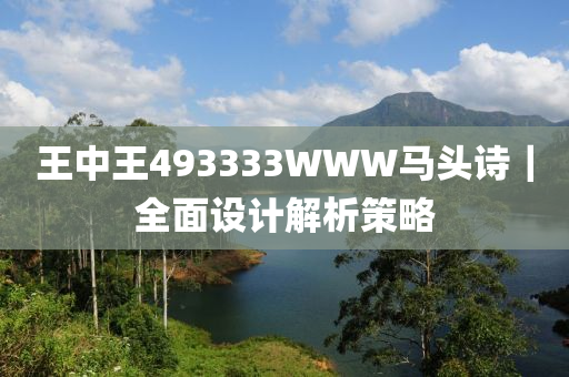 王中王493333WWW馬頭詩(shī)｜全面設(shè)計(jì)解析策略