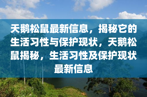 天鵝松鼠最新信息，揭秘它的生活習性與保護現狀，天鵝松鼠揭秘，生活習性及保護現狀最新信息