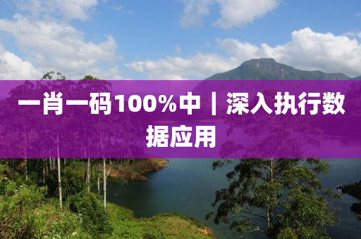 一肖一碼100%中｜深入執(zhí)行數(shù)據(jù)應用