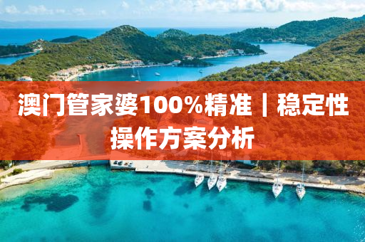 澳門管家婆100%精準(zhǔn)｜穩(wěn)定性操作方案分析