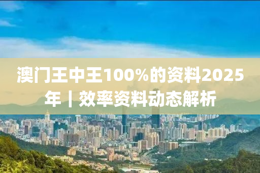 澳門王中王100%的資料2025年｜效率資料動態(tài)解析