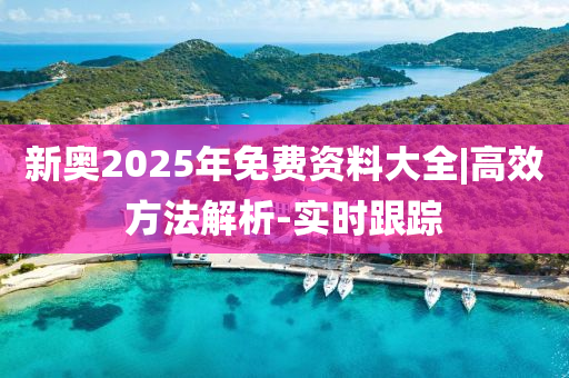 新奧2025年免費(fèi)資料大全|高效方法解析-實(shí)時(shí)跟蹤