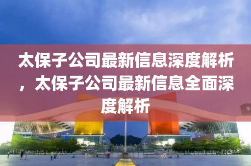 太保子公司最新信息深度解析，太保子公司最新信息全面深度解析