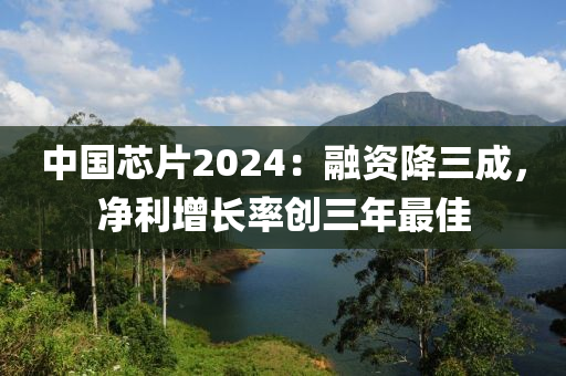 中國(guó)芯片2024：融資降三成，凈利增長(zhǎng)率創(chuàng)三年最佳