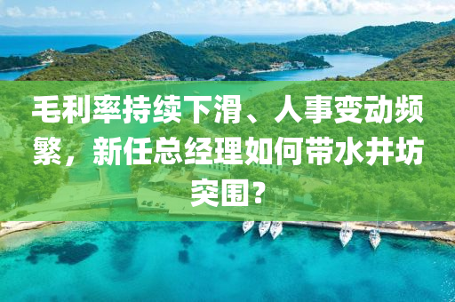 毛利率持續(xù)下滑、人事變動頻繁，新任總經(jīng)理如何帶水井坊突圍？