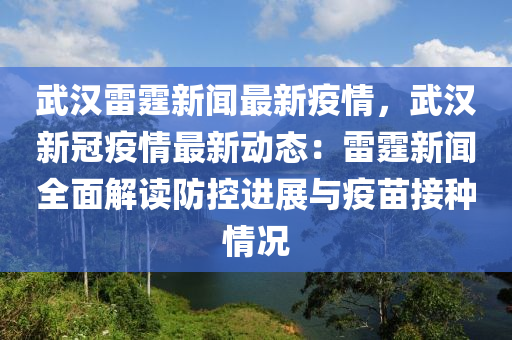 武漢雷霆新聞最新疫情，武漢新冠疫情最新動(dòng)態(tài)：雷霆新聞全面解讀防控進(jìn)展與疫苗接種情況