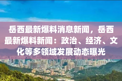 岳西最新爆料消息新聞，岳西最新爆料新聞：政治、經(jīng)濟(jì)、文化等多領(lǐng)域發(fā)展動(dòng)態(tài)曝光