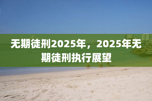 無期徒刑2025年，2025年無期徒刑執(zhí)行展望