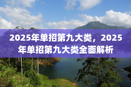 2025年單招第九大類，2025年單招第九大類全面解析