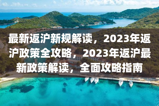 最新返滬新規(guī)解讀，2023年返滬政策全攻略，2023年返滬最新政策解讀，全面攻略指南