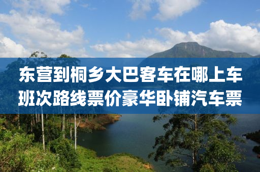 東營到桐鄉(xiāng)大巴客車在哪上車班次路線票價(jià)豪華臥鋪汽車票