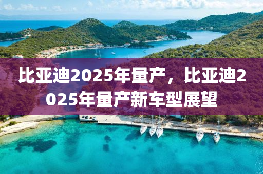 比亞迪2025年量產(chǎn)，比亞迪2025年量產(chǎn)新車型展望