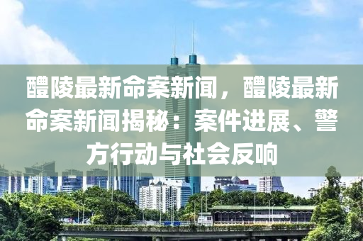 醴陵最新命案新聞，醴陵最新命案新聞揭秘：案件進(jìn)展、警方行動(dòng)與社會(huì)反響