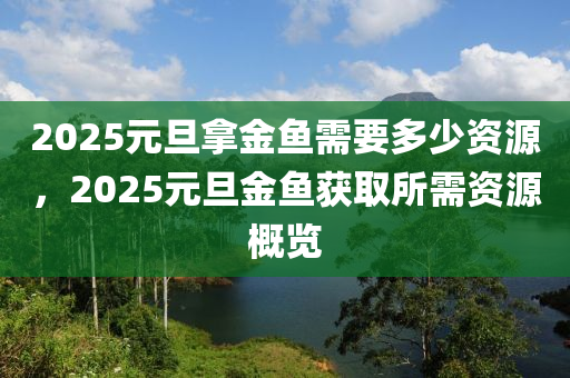 2025元旦拿金魚需要多少資源，2025元旦金魚獲取所需資源概覽