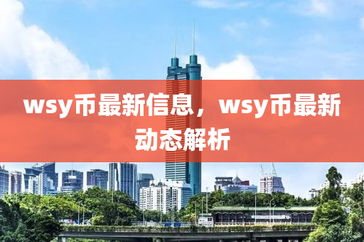 wsy幣最新信息，wsy幣最新動態(tài)解析