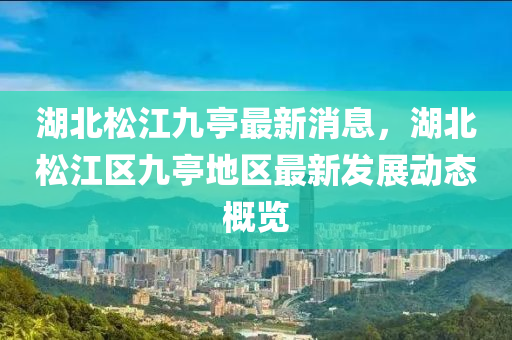 湖北松江九亭最新消息，湖北松江區(qū)九亭地區(qū)最新發(fā)展動態(tài)概覽