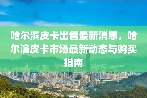 哈爾濱皮卡出售最新消息，哈爾濱皮卡市場最新動(dòng)態(tài)與購買指南