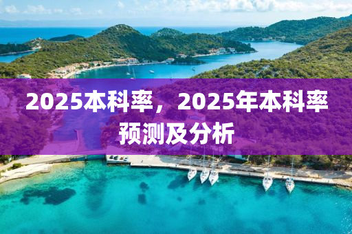 2025本科率，2025年本科率預測及分析