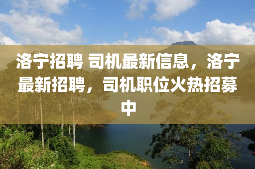 洛寧招聘 司機(jī)最新信息，洛寧最新招聘，司機(jī)職位火熱招募中