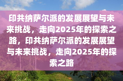 印共納薩爾派的發(fā)展展望與未來挑戰(zhàn)，走向2025年的探索之路，印共納薩爾派的發(fā)展展望與未來挑戰(zhàn)，走向2025年的探索之路