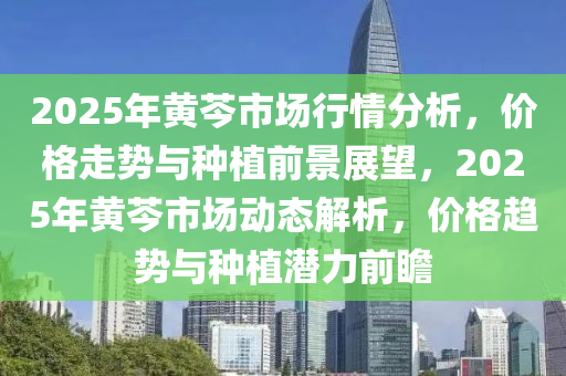 2025年黃芩市場行情分析，價格走勢與種植前景展望，2025年黃芩市場動態(tài)解析，價格趨勢與種植潛力前瞻