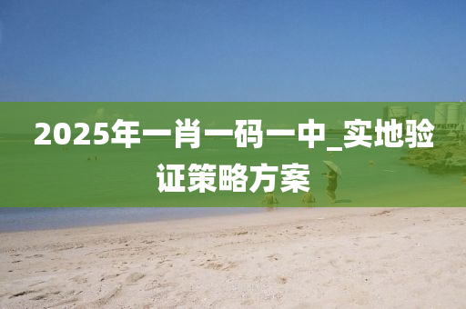 2025年一肖一碼一中_實地驗證策略方案