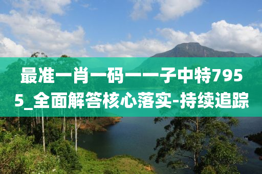 最準一肖一碼一一子中特7955_全面解答核心落實-持續(xù)追蹤